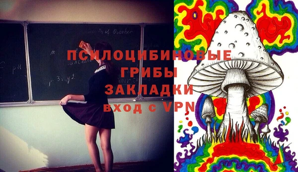 твердый Горно-Алтайск