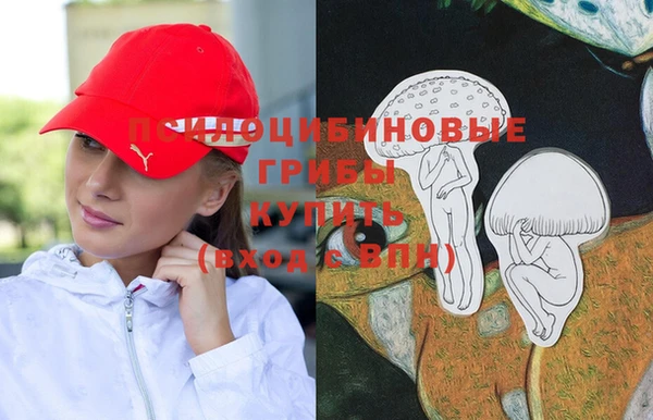 твердый Горно-Алтайск