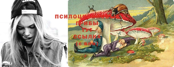 гашиш Горнозаводск