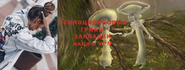 твердый Горно-Алтайск