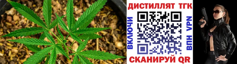 Дистиллят ТГК THC oil  Купить закладки  Кириллов 